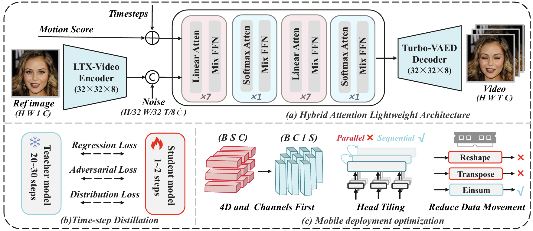 Model Structure