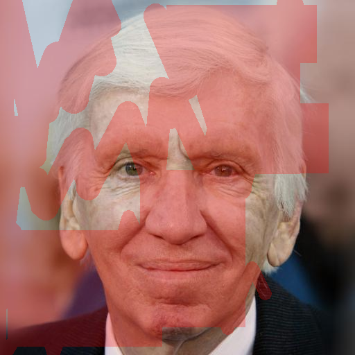 Input Image 17