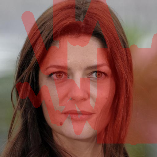 Input Image 17