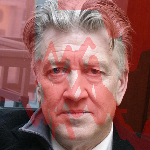 Input Image 17