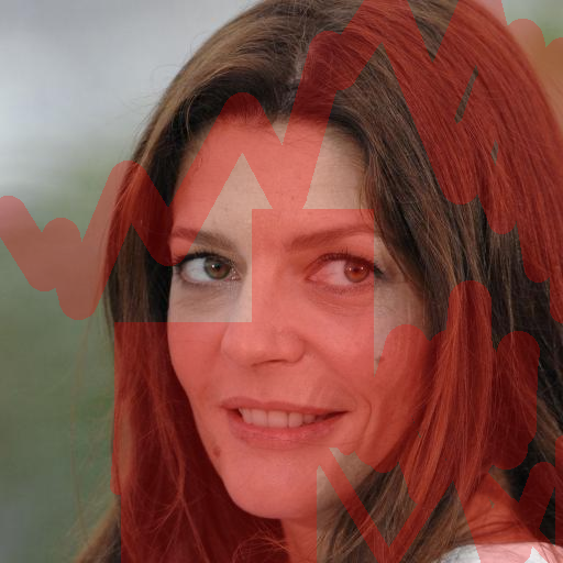 Input Image 17