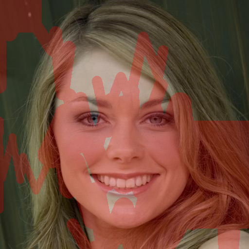 Input Image 17