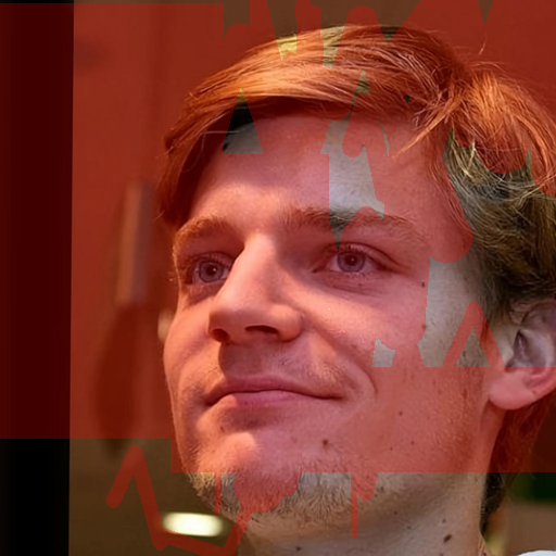 Input Image 17