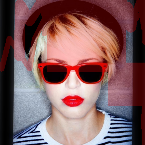 Input Image 17