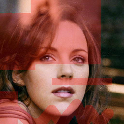 Input Image 17