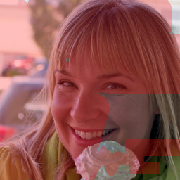 Input Image 17