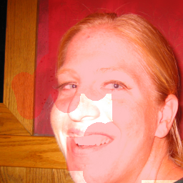 Input Image 17