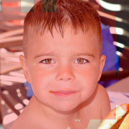 Input Image 17