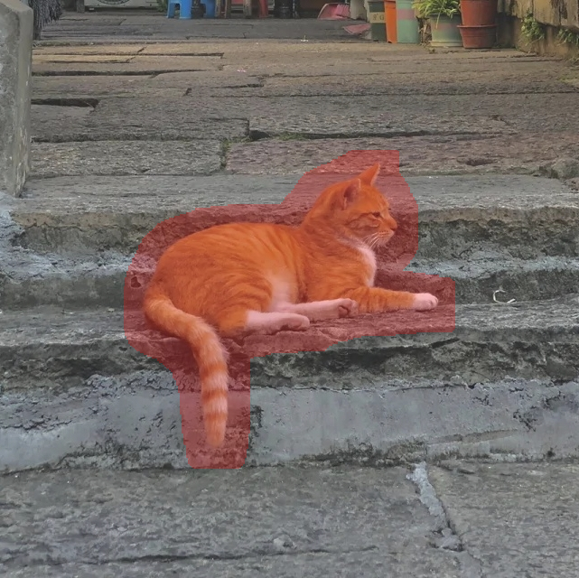 Input Image 1