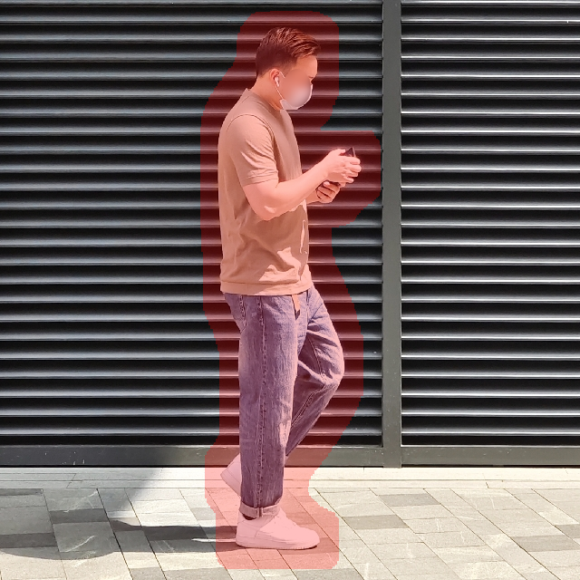 Input Image 1