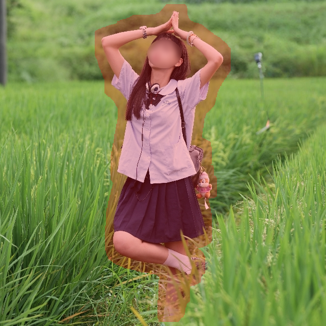 Input Image 1