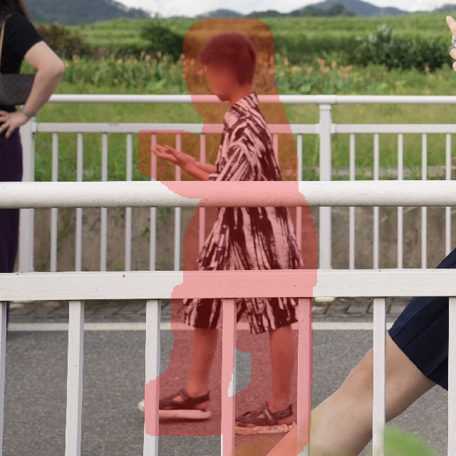 Input Image 1