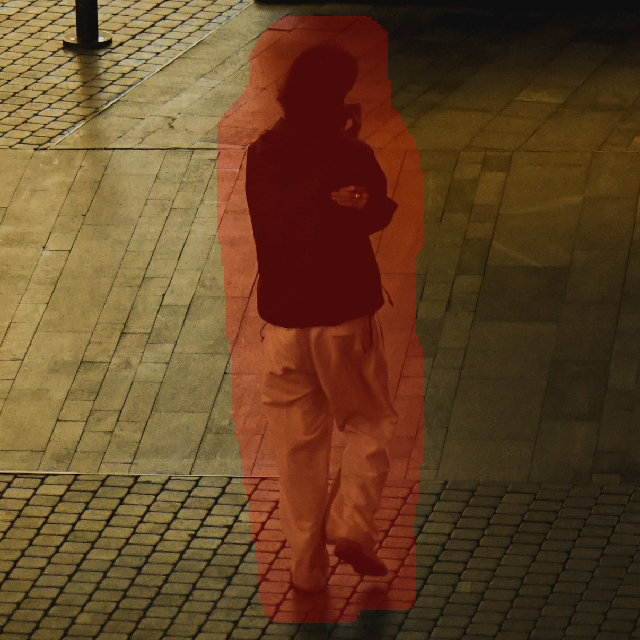 Input Image 1