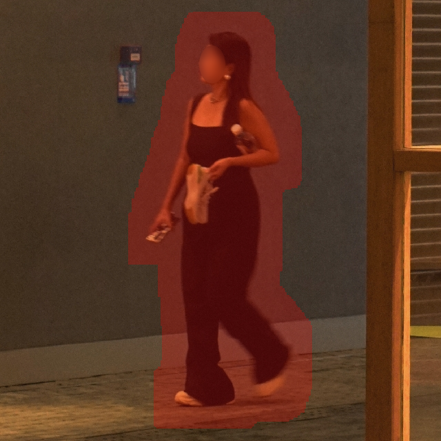Input Image 1
