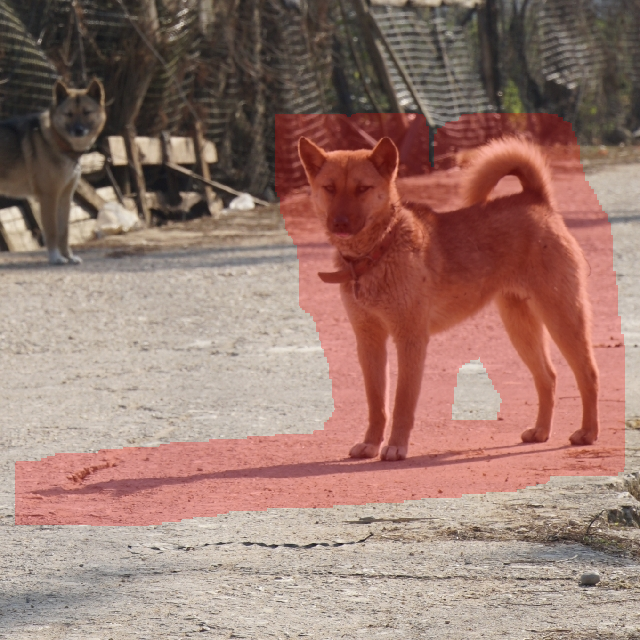 Input Image 1