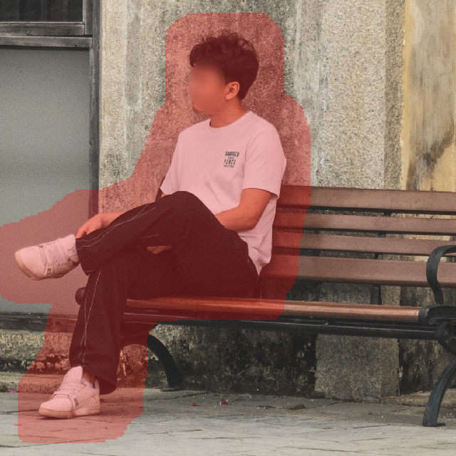 Input Image 1