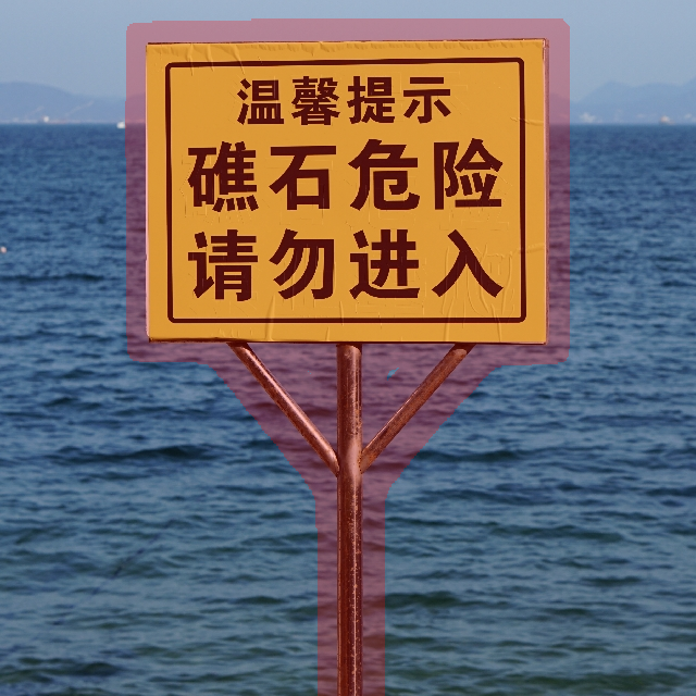 Input Image 1