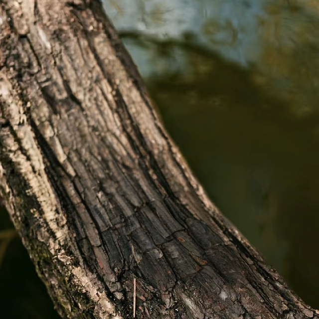 Output Image 2