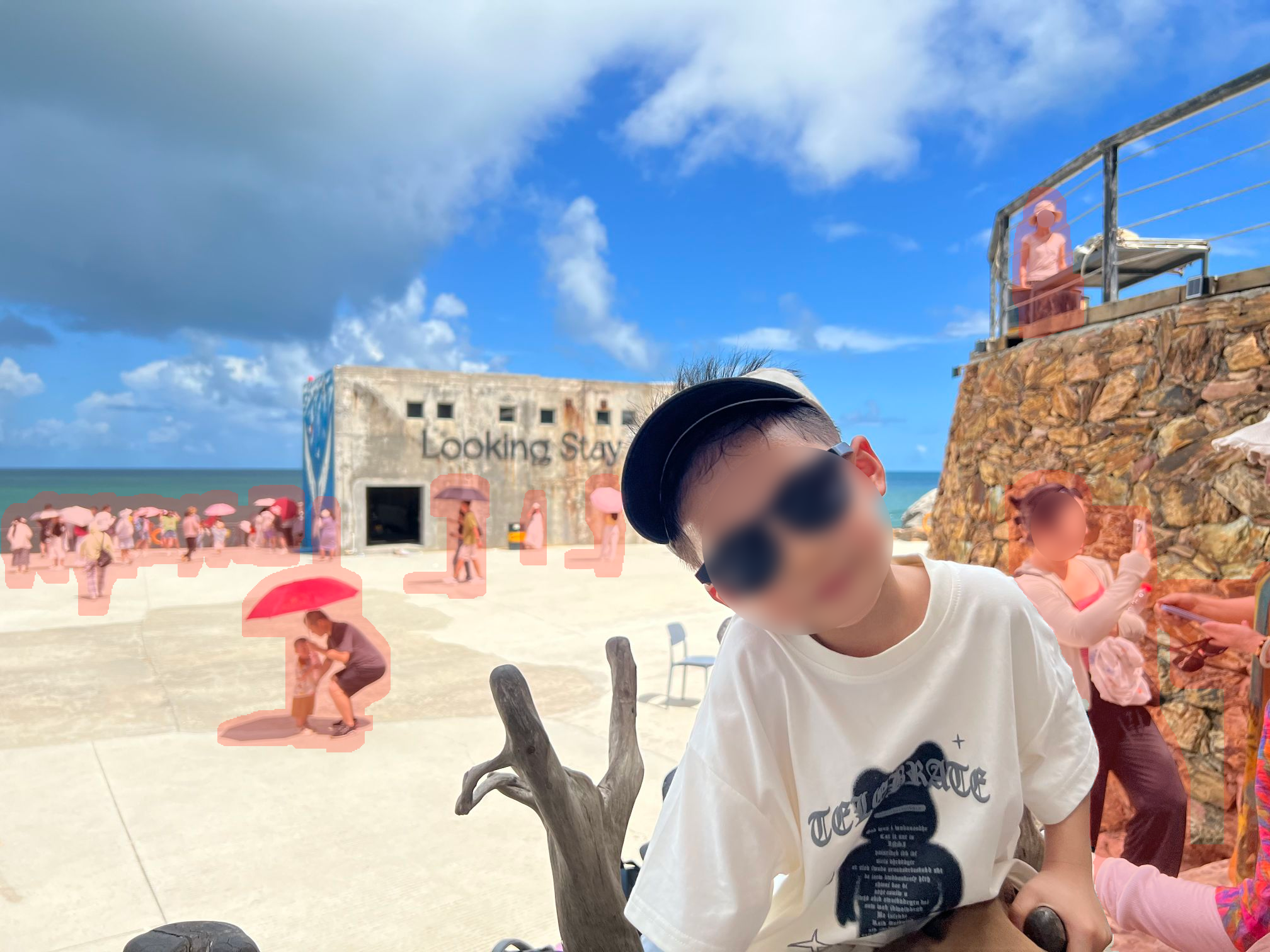 Input Image 17
